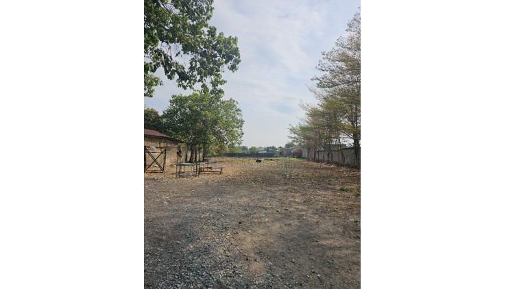 Đất Phân lô Mặt Tiền Nguyễn Văn Tạo Nhà Bè 8188m2 Chỉ 180 Tỷ.